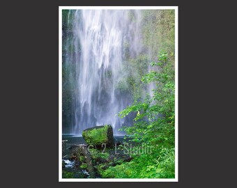 May include: A close-up of a waterfall cascading over moss-covered rocks. The water is white and foamy, and the rocks are green and brown. The background is a lush forest.