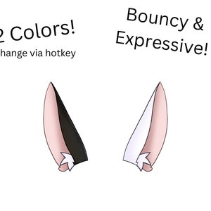 Vtuber Asset | Live2D Rabbit Ears | Rigged Vtuber Ears
