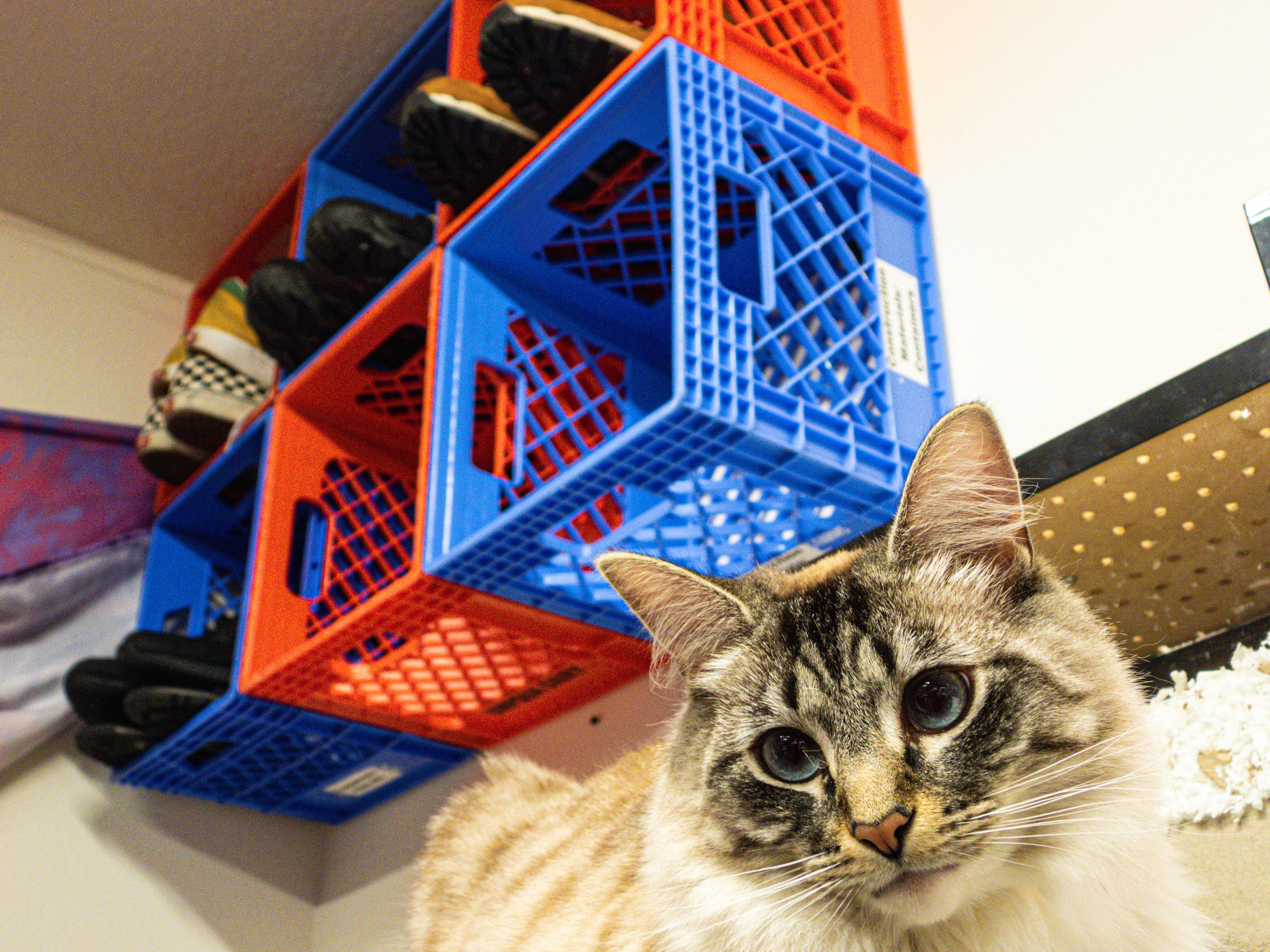 milk crate cat condo