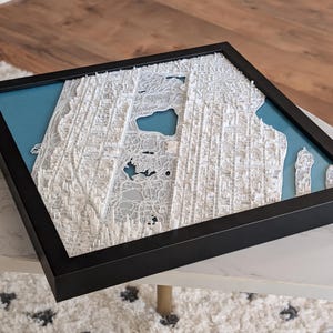 3D Central Park Map Art: Framed NYC Decor, Gift for New Yorker