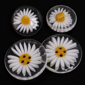 May include: Four clear plastic buttons with white daisy designs. The daisies have yellow centers. Two of the buttons have a single yellow center, and two have four yellow centers.