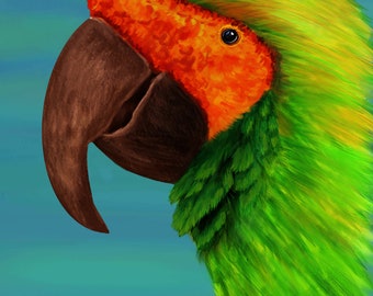 Parrot Portrait first created in an airbrush scanned in and digital painted download after purchase