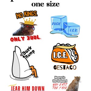 Political Waterproof Custom Cut Vinyl Stickers