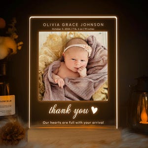 Custom Baby Arrival Announcement Light, Newborn Photo Light, Custom Baby Birth Stats, Personalized Baby Info, NNV12