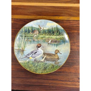 May include: Decorative plate featuring a serene lakeside scene with ducks, a cabin, and lush greenery. The plate has a gold rim and showcases detailed artwork of waterfowl in their natural habitat. A beautiful piece for display.
