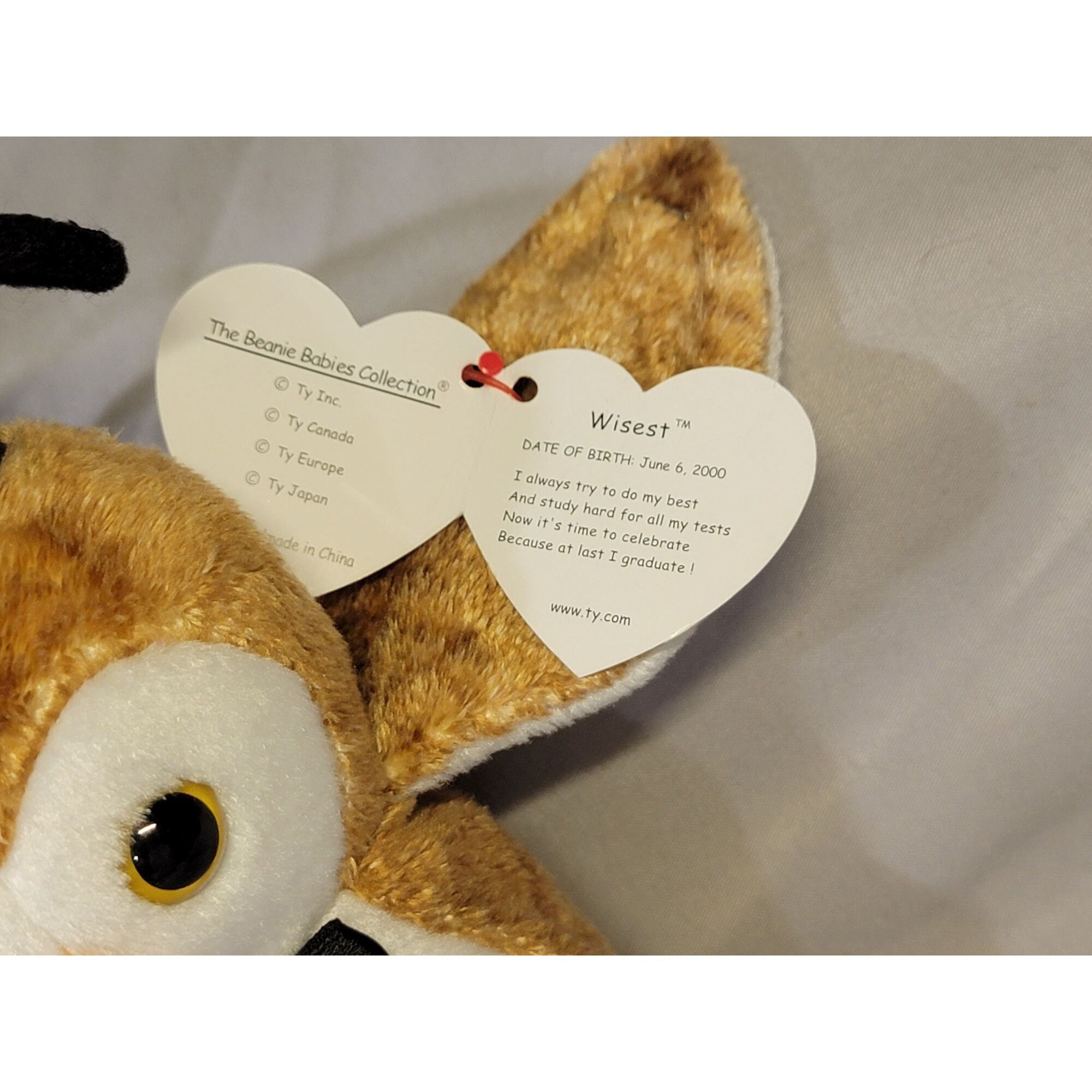 Wisest Beanie Babie. Date of Birth - June 6, 2000 - Etsy