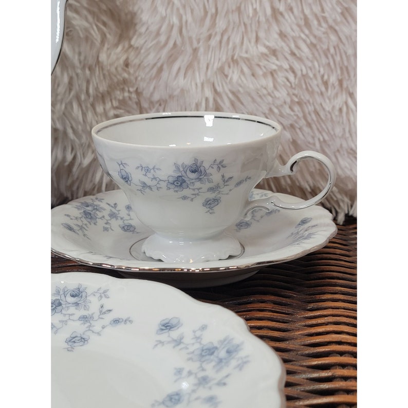 Antique Johann Haviland Blue Garland China 7 Piece Place Etsy