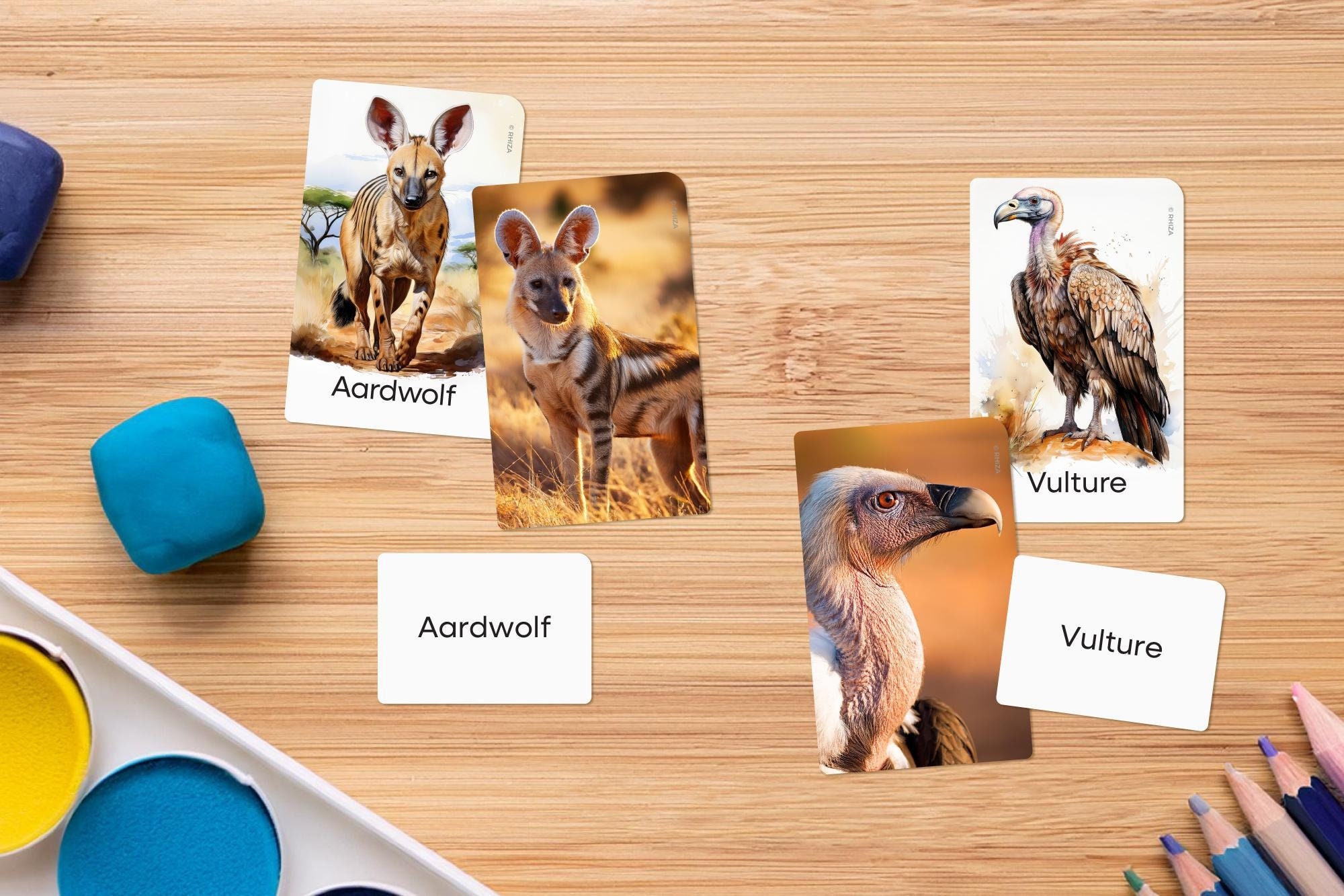Savanna Animals Flashcards for Kids Montessori Three Part Cards With ...