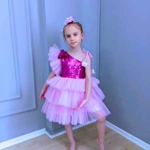 Pink and Fuchsia Sparkly Princess Costume - Girls Birthday and Party Dress - Pink Tutu Chic -sparkly tutu costume - personalize costume