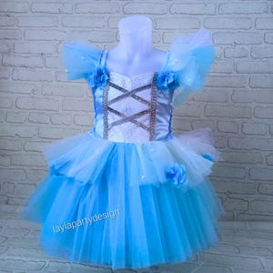 Blaues Prinzessin Tutu Kleid: Baby Kleinkind Geburtstagskostüm