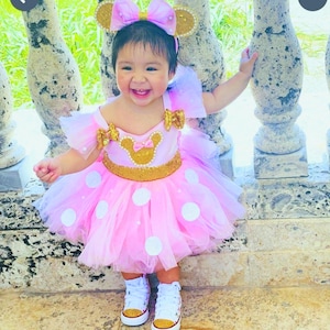Handmade Pink Minnie Mouse Birthday Tutu Dress with Headband
