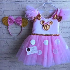 Cartoon-Inspired Pink Tutu with Ears Dress , Pink Tutu Dress for Baby & Toddler , Toddler Tulle Dress  , Birthday Tutu Dress for Girl