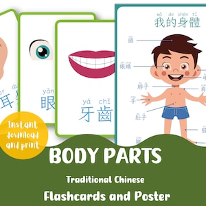Tarjetas didácticas imprimibles de partes del cuerpo en chino tradicional / Póster educativo / Educación en el hogar / Actividad preescolar para niños pequeños / Jardín de infantes