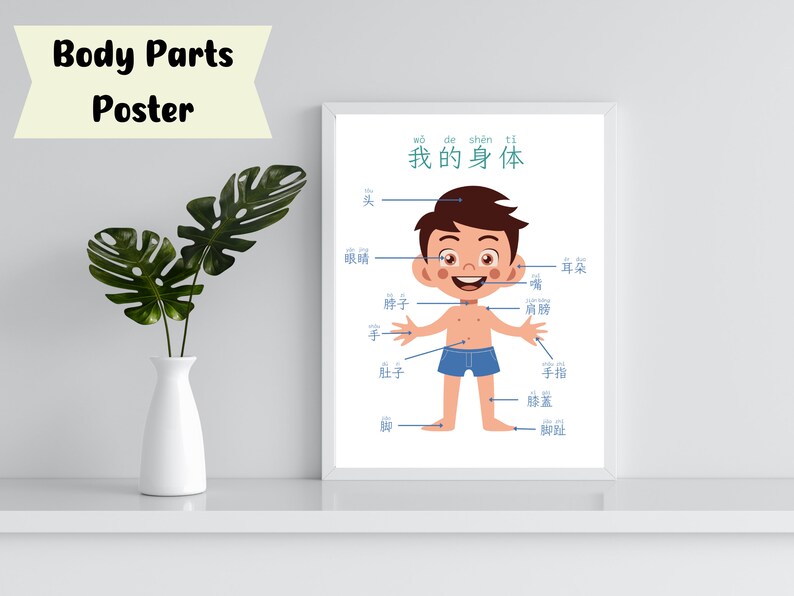 Body Parts Printable Flashcards in SIMPLIFIED CHINESE | Educational ...