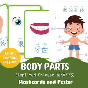 Tarjetas didácticas imprimibles sobre las partes del cuerpo en chino simplificado / Póster educativo / Educación en el hogar / Actividad preescolar para niños pequeños / Jardín de infantes