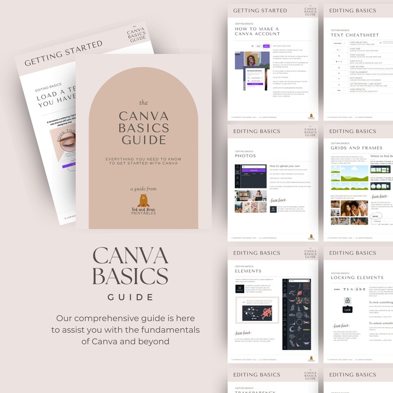 Canva Basics Pdf | Mode D’Emploi Canva Pdf – DQMT