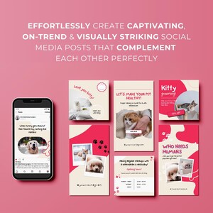 May include: A collage of six Instagram posts promoting pet care services. The posts feature images of cats and dogs, with text that includes "Love you kitty!" "Let's make your pet healthy!" "Kitty grooming!" "Having regular checkups with a veterinarian is necessary!" and "Who needs humans?"