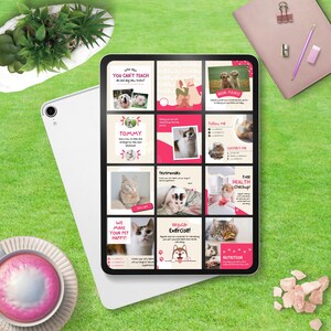 May include: A tablet screen displaying a grid of 12 social media posts about pet care. The posts feature images of cats and dogs, and text about topics such as pet health, nutrition, exercise, and training. The text on the screen includes "You can't teach an old dog new tricks?", "Tommy", "Testimonials", "We make your pet happy!", "Regular Exercise!", "Follow me", "Contact me", "Free Health Checkup!", and "Nutrition".