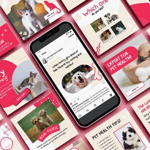 May include: A collage of images promoting a veterinary clinic. The images feature dogs and cats, with text that says "Expert for Pet Health!" and "Pet Health Tips!" The images are in a modern, minimalist style with a pink and beige color scheme.