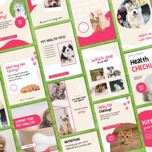 May include: A collection of social media posts promoting pet health services. The posts feature images of dogs and cats, and include text such as "Pet Health Tips!" and "Health Checkup!"
