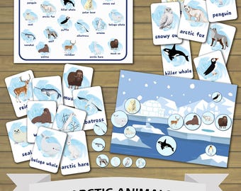 Arctic Animals Flashcards and Poster Set for Kids – Printable Educational Activity