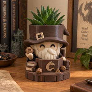 May include: A brown planter shaped like a wizard wearing a wide-brimmed hat, holding a 20-sided die. The wizard sits behind a screen with a dragon emblem, books, and additional dice. A green succulent plant grows from the top of the wizard's hat.