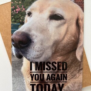 May include: A close-up of a light brown dog's face with the text "I missed you again today." printed on the image.