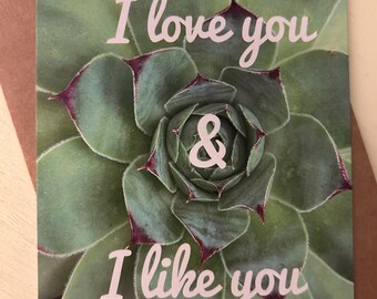 Pretty succulent lets your friend know they are loved. Bring a smile with this one!