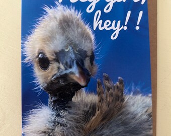 Cute baby chick says hey! Send this to your friend, sister, mom or anybody you&#39;re thinking of today!