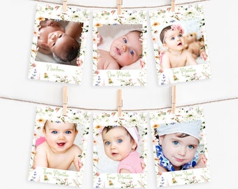 Wildflower Baby First Year Photo Banner (Digital Download)