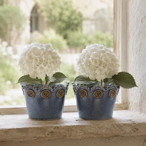 Juego de 2 macetas de cerámica vintage con esmalte azul craquelado – Macetas rústicas de estilo granja – Jarrones de estilo campestre con bordes festoneados