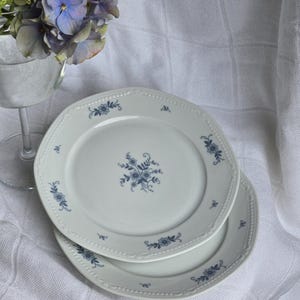 Mitterteich Bavaria Germany plates. Vintage white plates with blue flowers. German kitchenware. Gift for mom. Vintage china porcelain
