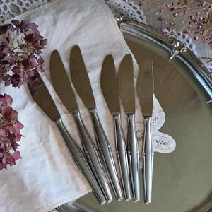Pode incluir: Seis facas de manteiga de a&ccedil;o inoxid&aacute;vel dispostas sobre uma toalha de linho branca com acabamento em renda. As facas est&atilde;o em uma bandeja de servir prateada, com flores roxas secas ao fundo. Uma configura&ccedil;&atilde;o de mesa vintage.