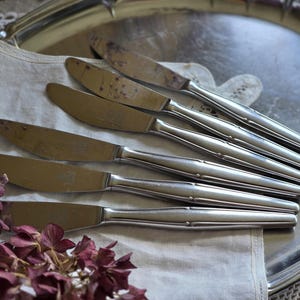 Pode incluir: Uma cole&ccedil;&atilde;o de seis facas de jantar vintage em a&ccedil;o inoxid&aacute;vel dispostas numa bandeja de servir prateada. As facas t&ecirc;m um design simples e elegante com l&acirc;minas arredondadas e cabos detalhados. A bandeja repousa sobre um pano de linho branco, com flores roxas secas.
