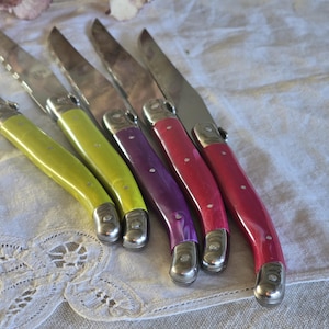 5er Set Vintage Laguiole Steakmesser – Bunte Griffe – Seltene Marke „Laguiole Generation“ – 23 cm