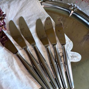 Pode incluir: Um conjunto de seis facas de manteiga de a&ccedil;o inoxid&aacute;vel dispostas sobre uma toalha de linho branca, colocadas em uma bandeja de servir prateada. As facas t&ecirc;m um design simples e elegante com uma l&acirc;mina ligeiramente curvada e uma al&ccedil;a fina. O fundo inclui renda e flores secas.