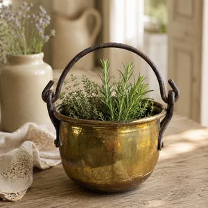 May include: A round, polished brass pot with a dark, weathered iron swing handle attached to two side loops. The pot is filled with green sprigs of rosemary and thyme, showcasing a metallic, reflective surface and a sturdy, rounded base.