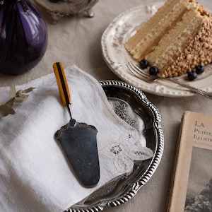 May include: A vintage scene featuring a slice of cake on a floral plate with blueberries, a silver cake server, and a decorative silver tray. A purple vase with dried flowers and a vintage book are also present.