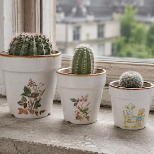 Peut inclure: Trois pots en céramique blanche avec des bords bruns, contenant chacun un cactus vert. Les deux plus grands pots présentent des illustrations botaniques de plantes à baies, tandis que le plus petit pot affiche un dessin de deux personnages près d'une clôture jaune.