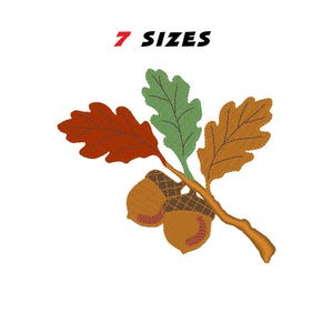 Può includere: Un disegno ricamato con un ramo con tre foglie nei toni dell'arancione, del verde e dell'oro, insieme a due ghiande. Il testo "7 SIZES" è visualizzato in nero e rosso.