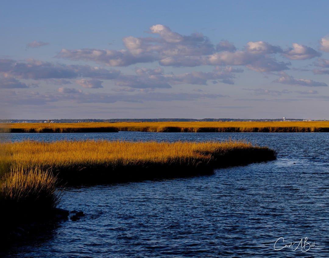 Indian River Inlet Print: Delaware Coastal Marsh Grasses Wall Art - Etsy