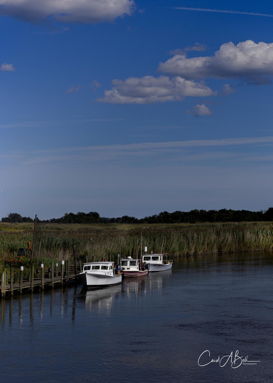 Delaware Marsh Fishing Boats Photograph: Coastal Cottage Wall Art - Etsy