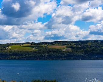 May include: A wide landscape view of a deep blue lake under a bright sky filled with white cumulus clouds. The far shoreline features a dense green forest and rolling hills with patches of open fields. A small white boat is visible on the water.