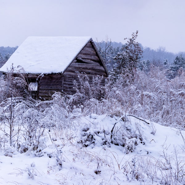 Winter snow scene old cabin Sussex DE. Rural farm landscape. Outdoor lover. Home art decor family room. Fine wall art print hunting cabin.