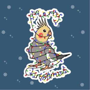 Weihnachtslichter Grauer Nymphensittich | Süsser Nymphensittich | Weihnachtslichter Birb | Nymphensittich Aufkleber