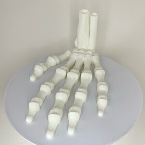 Flexi Skeleton Hand