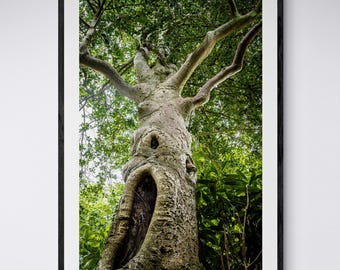 Creepy tree with a screaming mouth, spooky tree photograph