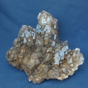50% Off - Rare 11# Elestial Alligator Smokey Quartz Cluster, CR5.6.2