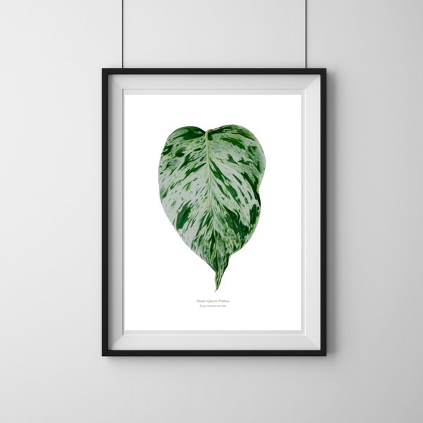 Snow Queen Pothos Art Print, Colored Pencil Art, Printable Wall Art, Botanical Art, Printable Artwork, Wall Decor, Digital Download