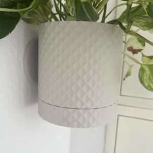 Puede incluir: Una maceta cilíndrica blanca texturizada con un patrón de diamantes, que contiene una planta de hojas verdes y blancas. La maceta está montada en una pared blanca. La planta tiene hojas abigarradas verdes y blancas.